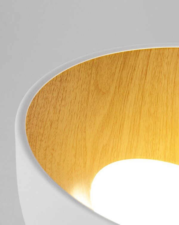 Surfacemag (2 Variations & Sizes)Round Ceiling Light - Image 10