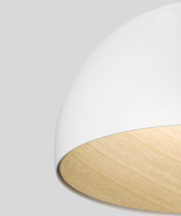 Surfacemag (2 Variations & Sizes)Round Ceiling Light - Image 13