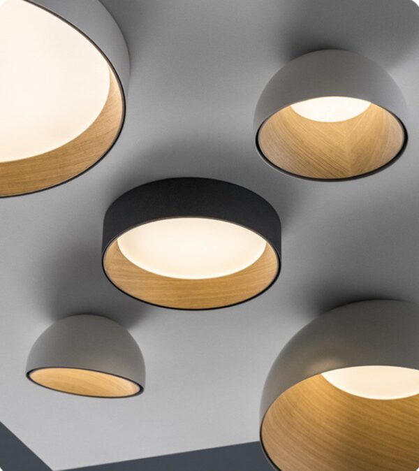 Surfacemag (2 Variations & Sizes)Round Ceiling Light - Image 4