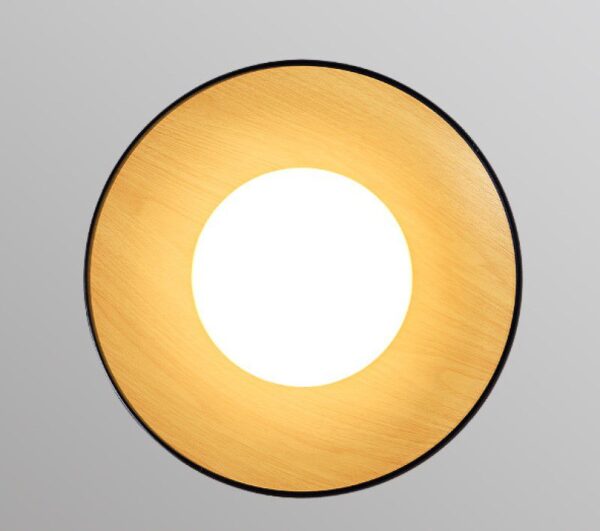 Surfacemag (2 Variations & Sizes)Round Ceiling Light - Image 5