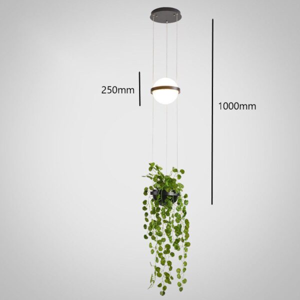 Flora Glow - Hanging - Image 8