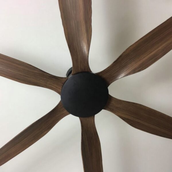 Dove (Brown) Ceiling Fan - Image 4