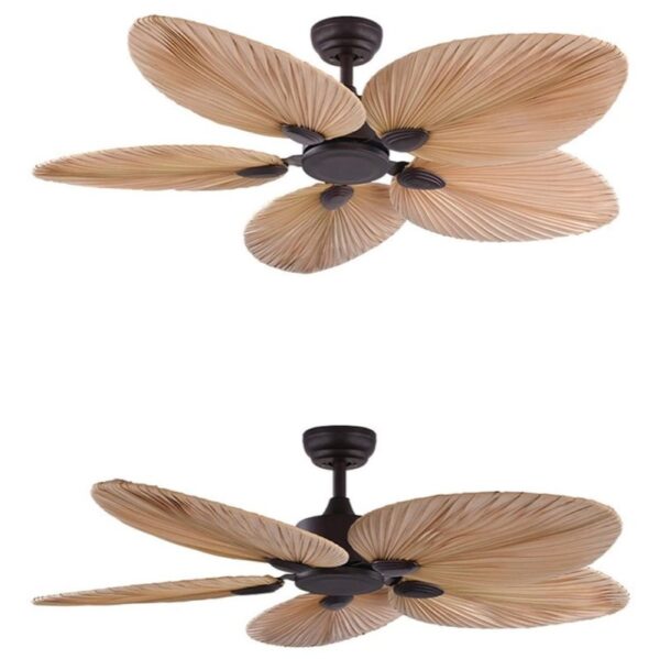 Harrier Brown Ceiling Fan - Image 4