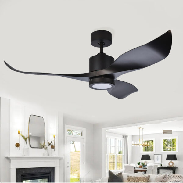 Whimberl Black Ceiling Fan