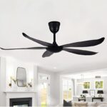 Magpie Black Ceiling Fan luxury lighting home decor store india