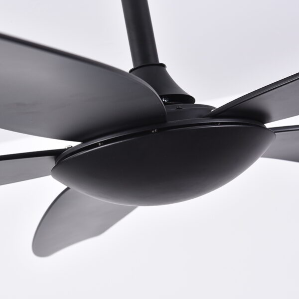 Catbird Black Ceiling Fan - Image 2
