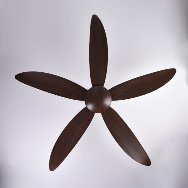 Catbird Brown Ceiling Fan - Image 5