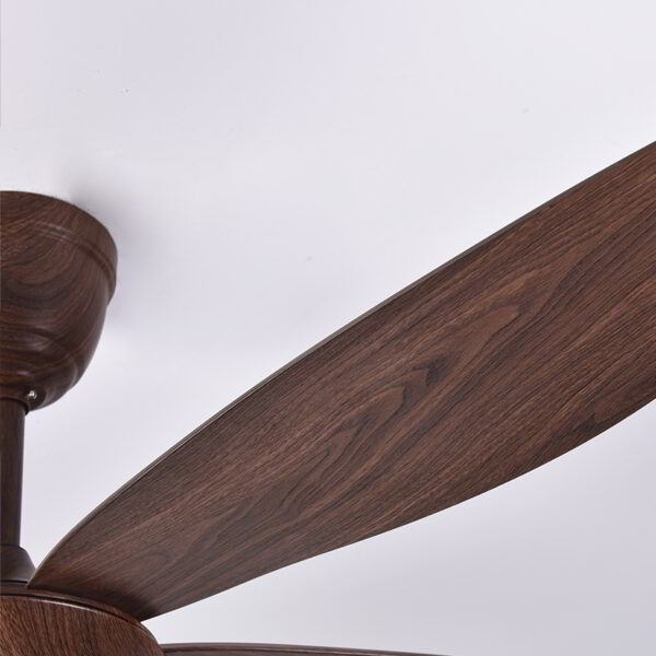 Catbird Brown Ceiling Fan - Image 6