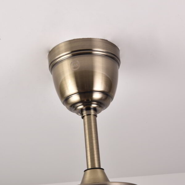 Kiwi Ceiling Fan - Image 4