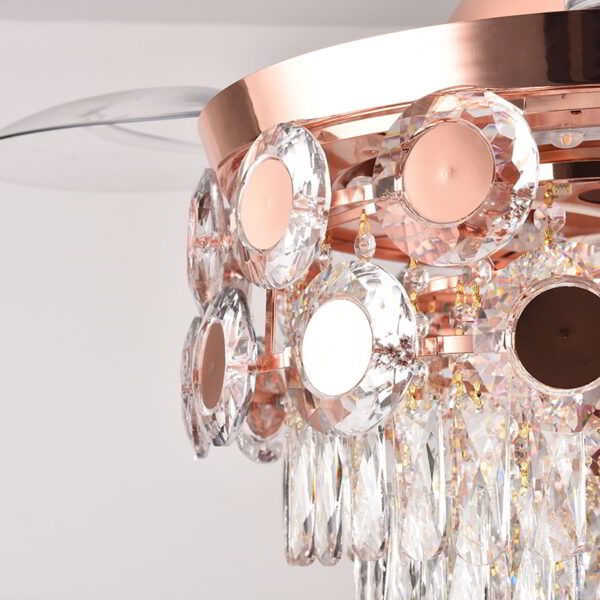 Hornbill (With lamp) Ceiling Fan - Image 2