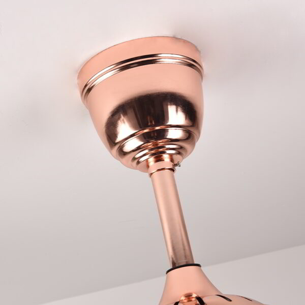 Hornbill (With lamp) Ceiling Fan - Image 6