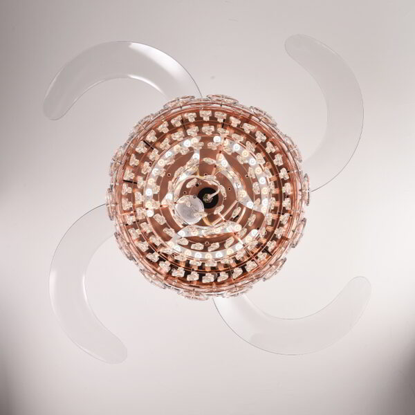 Hornbill (With lamp) Ceiling Fan - Image 5