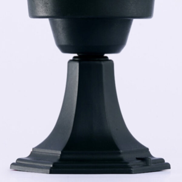 Globe Criss - Image 2