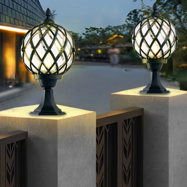 Globe Criss - Image 3